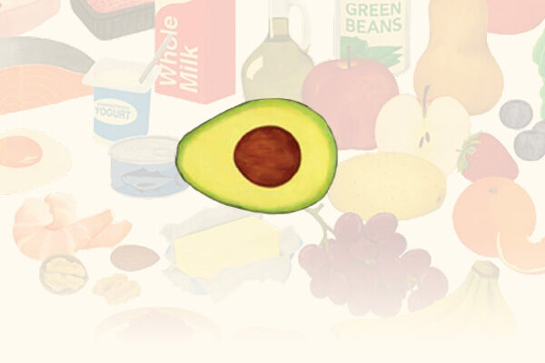 Avocados Are Becoming a Staple of the American Diet. See Why Mexico Matters.